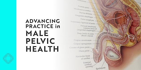 Advancing Practice in Male Pelvic Health