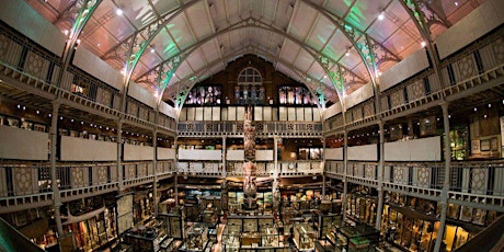 Oxford Folk Festival at the Pitt Rivers - CANCELLED primary image