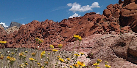 Red Rock Canyon Marathon, 1/2, & 5K primary image