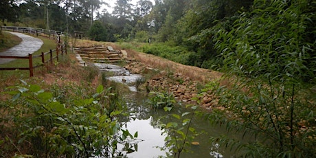 Gwinnett Stormwater Project Tour & Lunch primary image