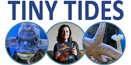 Imagem principal do evento Tiny Tides Storytime