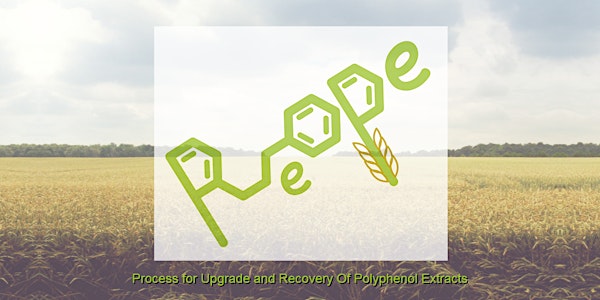 Recovery of Polyphenols & Other Nutrients from Food & Beverage Processing