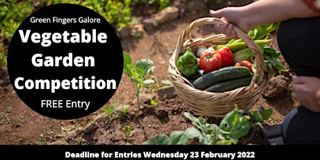 Green Fingers Galore - Selwyns' Vegetable Garden Competition primary image