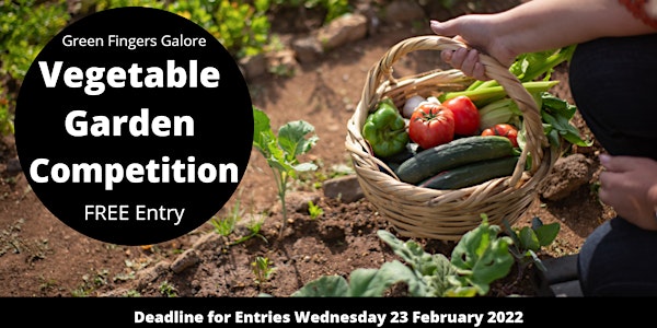 Green Fingers Galore - Selwyns' Vegetable Garden Competition