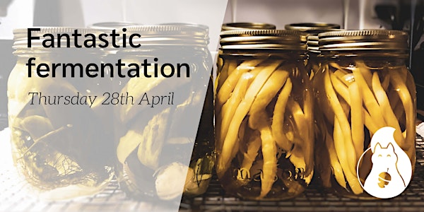 Fantastic Fermentation - ** Cardiff Met staff & students only **