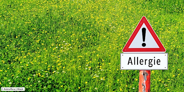 Webinar: Allergiediagnostik in der allgemeinmedizinischen Praxis