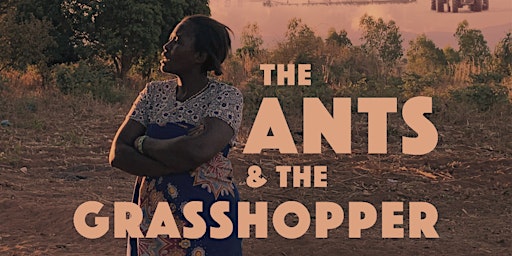 'The Ants & the Grasshopper' film screening and discussion with Raj Patel primary image
