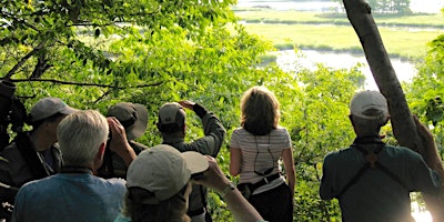 Small Group Birding: Wed, May 25, 7:00 am, Rockefeller State Park Preserve