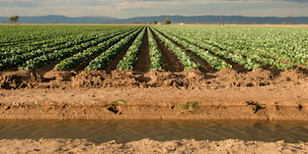 California Groundwater Briefing:  The Future of California’s Water