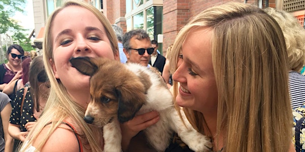 Canines & Cocktails to benefit the Animal Rescue League of Boston