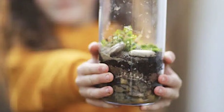 VIRTUAL SUSTAINABLE TERRARIUM - Create a Sustainable Ecosystem in a Bottle! tickets