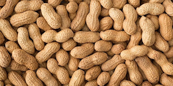 Allergy Academy Oral Peanut Immunotherapy Podcast Event