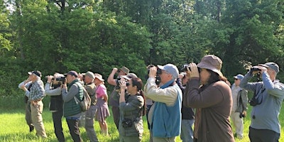 Small Group Birding: Mon, June 6, 7:00 am, Muscoot Farm
