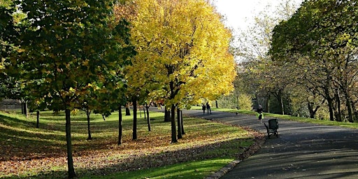 Wellbeing Walk to the Kelvingrove Park  primärbild