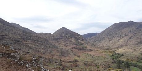 Cappagh Glen - Twin Glen  - Guided Hike primary image