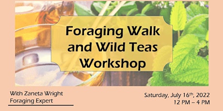 Foraging Walk & Wild Tea Workshop. TICKET SALES CLOSE 24 HOURS BEFORE EVENT