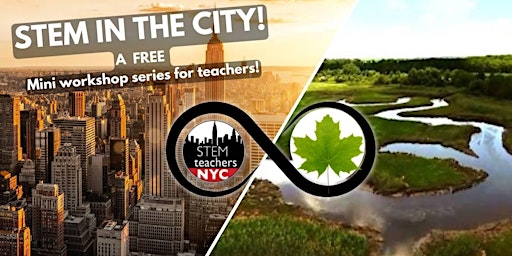 STEM in the City Series: Wildlife of NYC Salt Marshes with NYC Parks!  primärbild