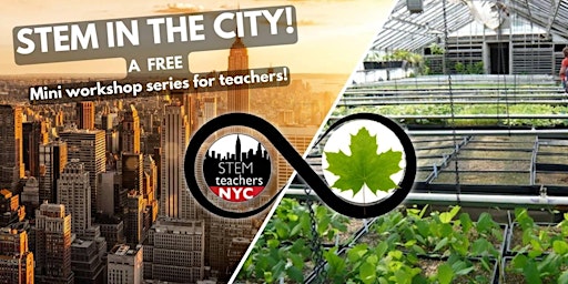 Primaire afbeelding van STEM in the City Series: Basics of Local Plant Identification w/ NYC Parks!