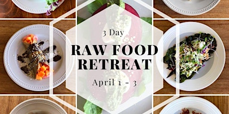Raw Food Chef Retreat to The Blue Mountains primary image
