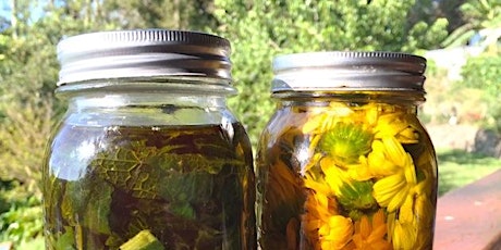 Permaculture Life Series: DIY Natural Healing and Beauty Products primary image