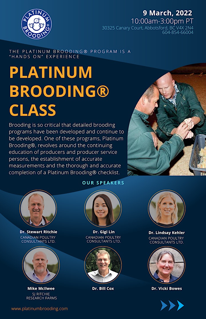 Platinum Brooding® Program image