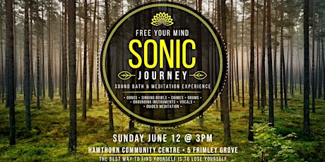 Sold Out - Sonic Journey - Sound Bath Meditation Event tickets