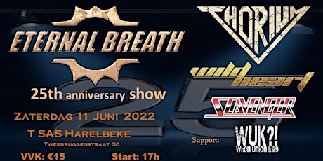 Primaire afbeelding van 25 YEARS ETERNAL BREATH