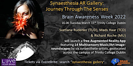Synaesthesia Gallery AR: Journey Through the Senses primary image