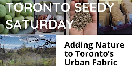 Adding Nature to Toronto's Urban Fabric