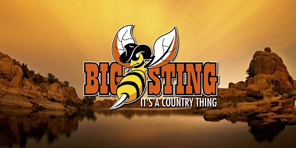 The Big Sting - It's a Country Thing
