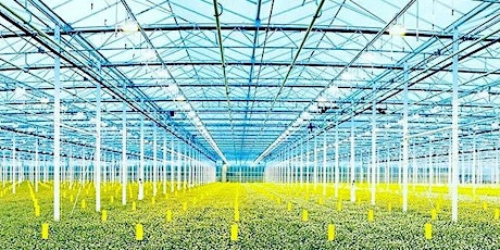 Cannabis Cultivation 101 Certification primary image