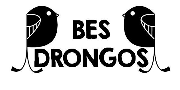 BES Drongos Clementi Forest Rail Corridor Walk