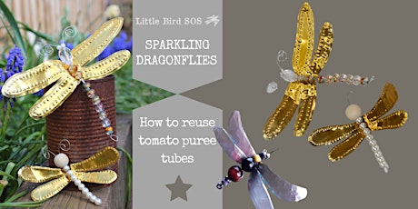 Sparkling Dragonflies primary image