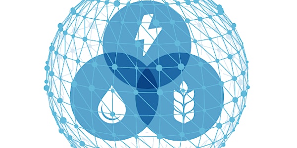 The Energy, Water, Food Nexus: Making Sense of an Interconnected Future