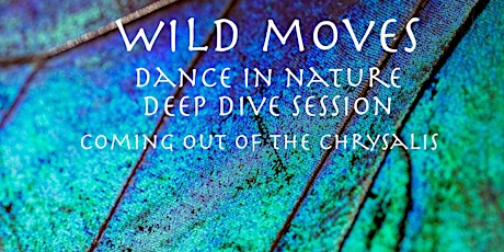 Dance in Nature deep dive spring session - Coming out of the Chrysalis