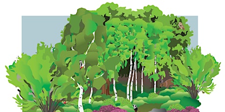 Help plant the QMU Wee Forest! primary image
