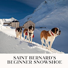 St Bernards Snow Shoe Pilgrimage 3 Day 2 Night