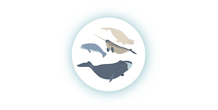 Whales and Marine Ecosystems image