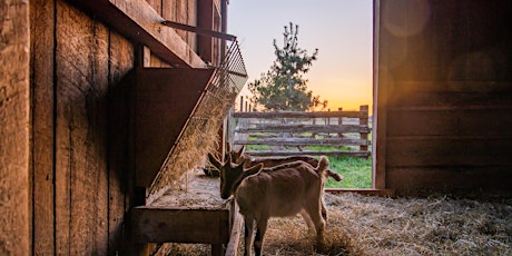 Lopez Island Farm Tour - 10/8 & 10/9 primary image