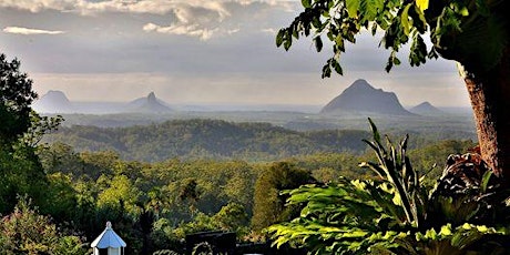 Maleny Montville Wine Tour tickets