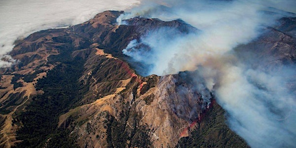 If Words Could Put the Fire Out: A Soberanes Fire Relief Benefit