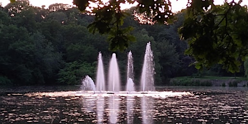 Roundhay Park in the evening