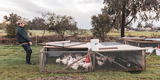 Pastured Poultry Workshop