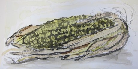 Fine Art Course with Rachel Cohen and Dinah Kelly (Spring, evenings) tickets
