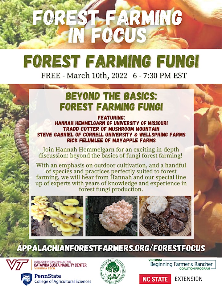 Forest Farming in Focus-Forest Farming Fungi image
