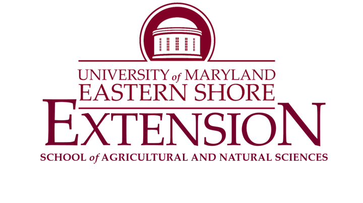 
		UMES Extension: Spring Herb Webinar Series image
