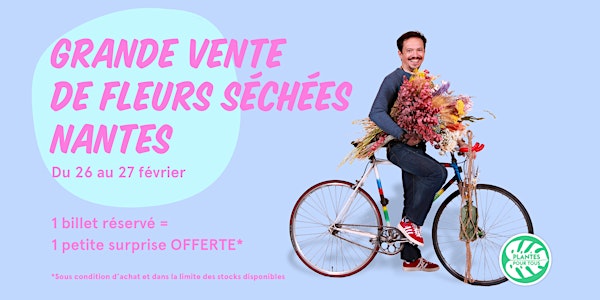Grande Vente de Fleurs Séchées - Nantes