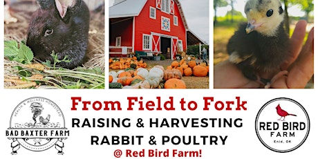 Raising and Harvesting Rabbit and Poultry - From F tickets