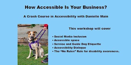 MTABC CE WORKSHOP- Equity Series #3- How Accessible is Your Business? primary image