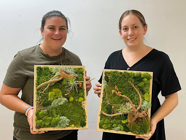 Moss art in frame workshop image